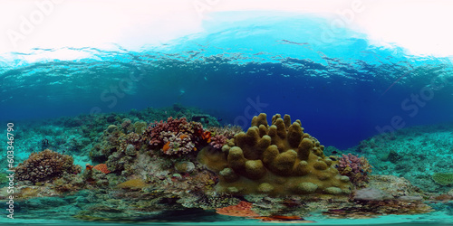 Tropical underwater sea fish. Colourful tropical coral reef. Scene reef. Philippines. Virtual Reality 360.