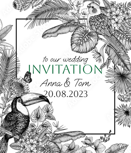 Vector frame of a bird in a tropical garden. Toucan, corella parrot, anthurium, palm and banana leaves, liviston, plumeria, zantedeschia, monstera, strelitzia, orchid, ptorea, butterflies