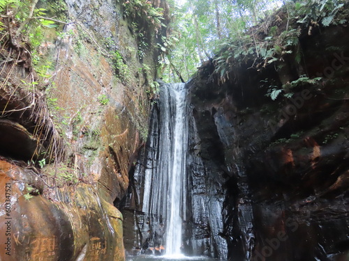 waterfall in the forest