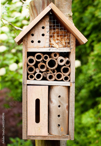 Decorative Insect house with compartments and natural components in a summer garden. Wooden insect house decorative bug hotel, ladybird and bee home for butterfly hibernation and ecological gardening. © DUOTONE