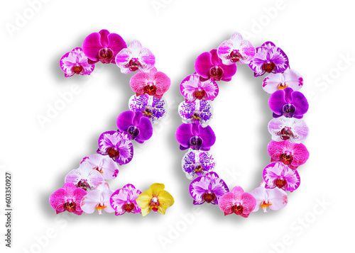 The shape of the number 20 is made of various kinds of orchid flowers. suitable for birthday, anniversary and memorial day templates
