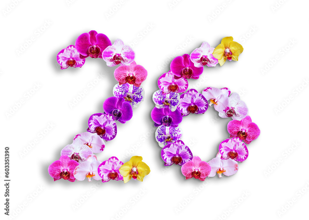 The shape of the number 26 is made of various kinds of orchid flowers. suitable for birthday, anniversary and memorial day templates The shape of the number 26 is made of various kinds of orchid flowers. suitable for birthday, anniversary and memorial day templates