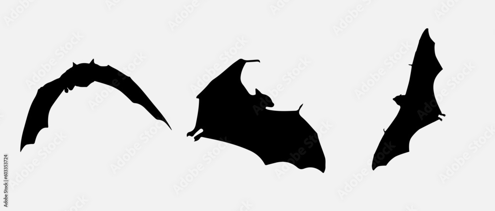 isolated black silhouette of a bat, vector collection isolated black silhouette of a bat, vector collection