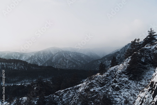 snow covered mountains