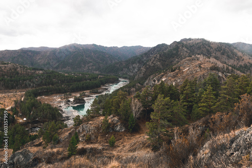 mountain river in the mountains