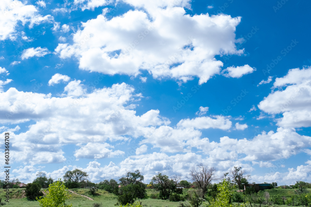 Panoramic blue clear sky and a green field Panoramic blue clear sky and a green field