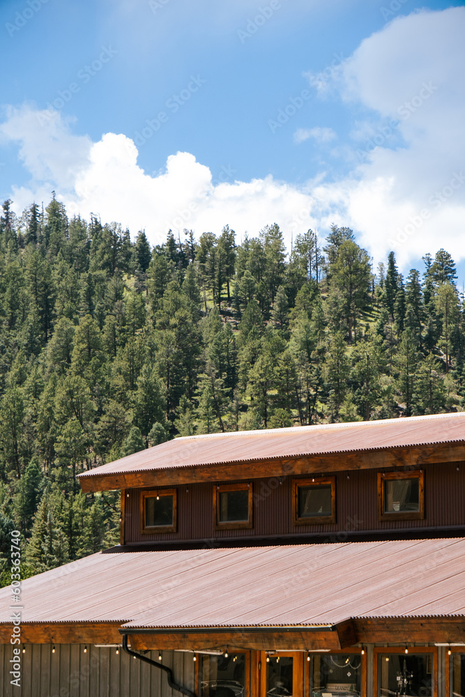 The Pines and The Lodge