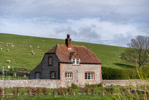 Rural English Farm House with sheep
