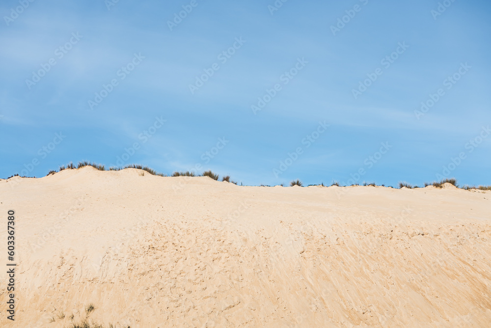Dry sandy beach with green bushes and plants Dry sandy beach with green bushes and plants