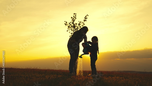 fresh tree seedling sunset, young roots, soil ground, plant garden, silhouette happiness family mother child, nature, berries, mom dad child planting trees, sunny spring summer, people planting tree