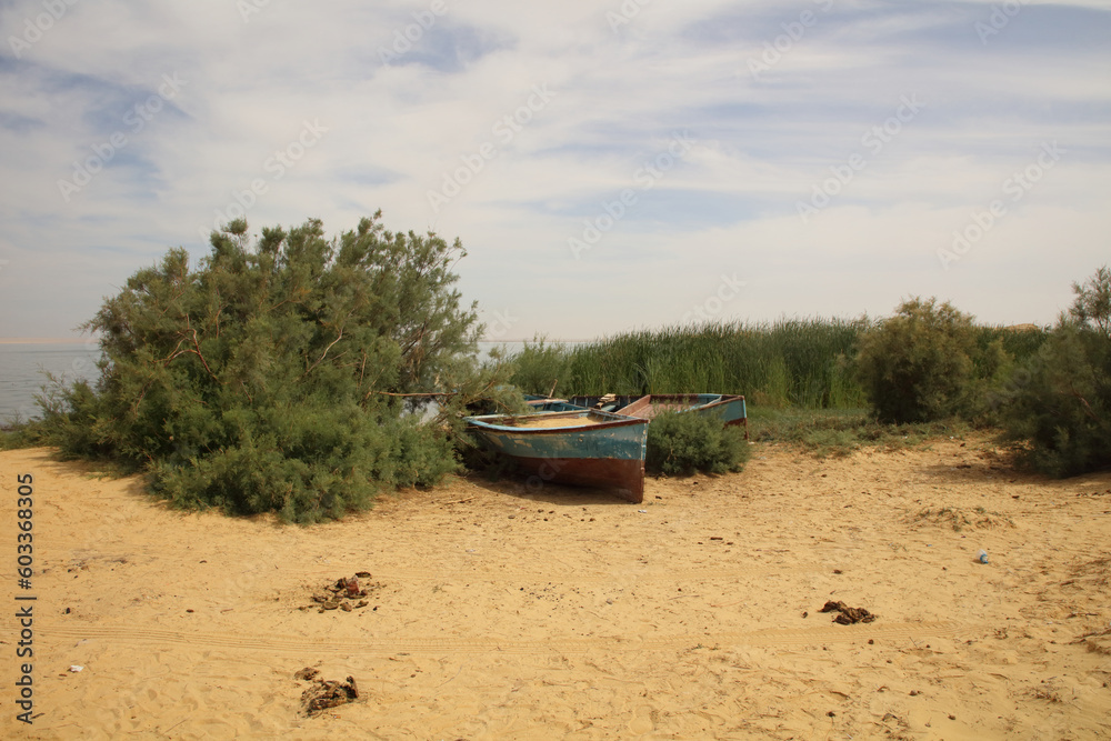 grass, boats, sand, and lake grass, boats, sand, and lake