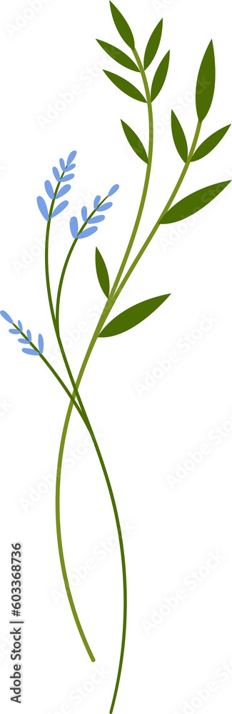 Obraz premium flower and leaf botanical illustration.
