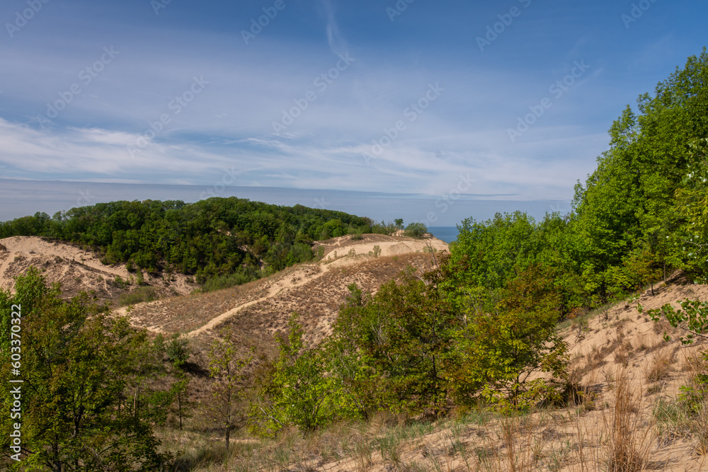 Sand dunes in the morning sun.  Warren Dunes state Park, Michigan, USA.
