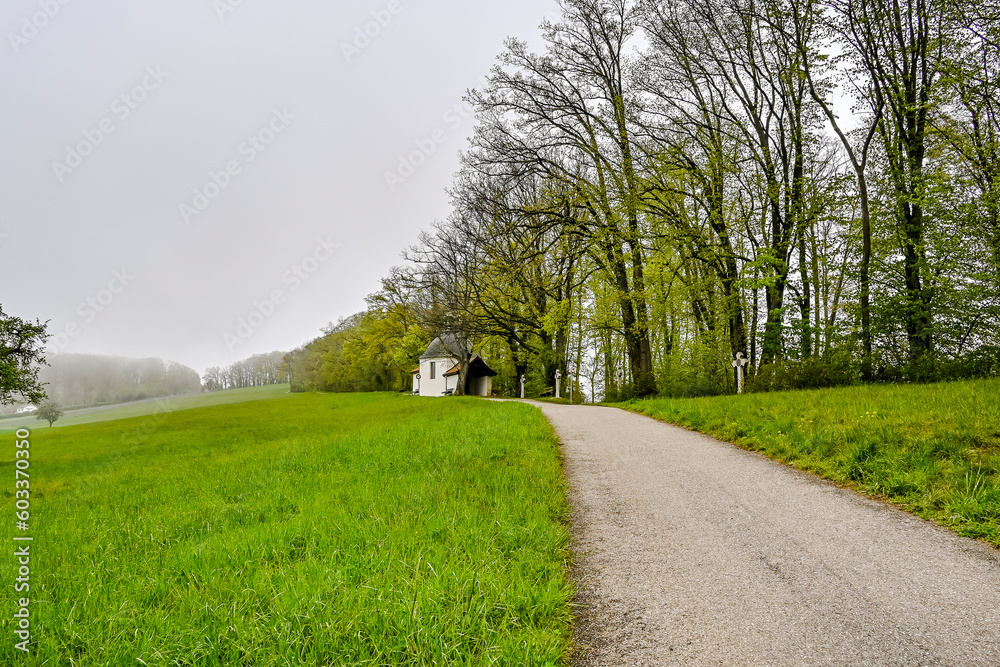 Obraz premium Mariastein, Kapelle, St. Anna-Kapelle, Kloster, Kloster Mariastein, Wallfahrt, Dorf, Wanderweg, Landwirtschaft, Felder, Frühling, Morgennebel, Schweiz