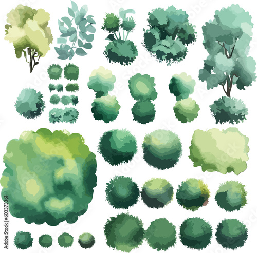 Incredible trees bushes shrubs top view vector