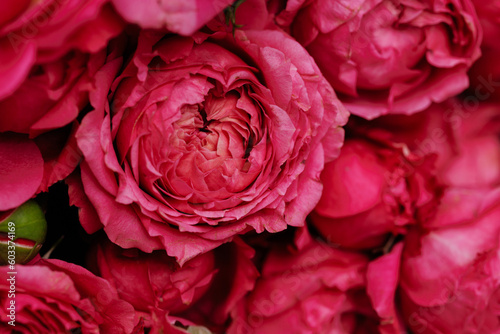 Pink flowers roses pattern close up. High quality photo © Kaplitskaya Love