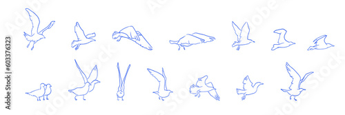 Variation of line drawing illustration of continuous motion of a flapping bird photo