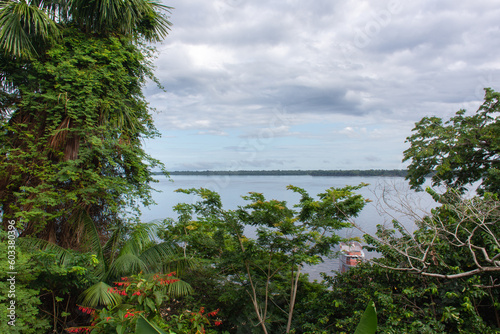 Vista do rio amazonas atrav  s da floresta