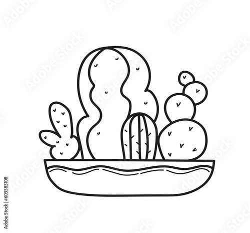 succulents house plant on pot. Hand drawn doodle outline vector illustration.