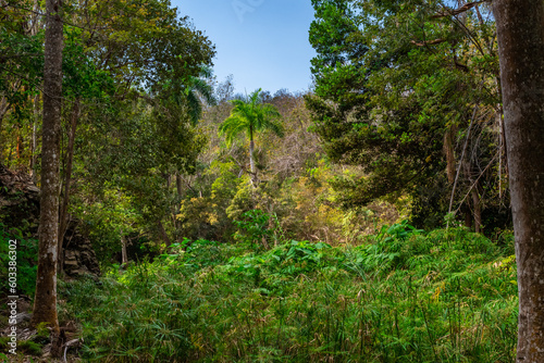 Hike near Trinidad along the Rio Guanayara and through the fields to the waterfalls