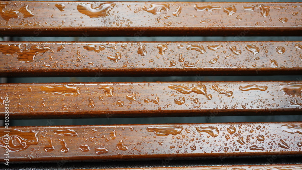 The wet bench after the rainnying day