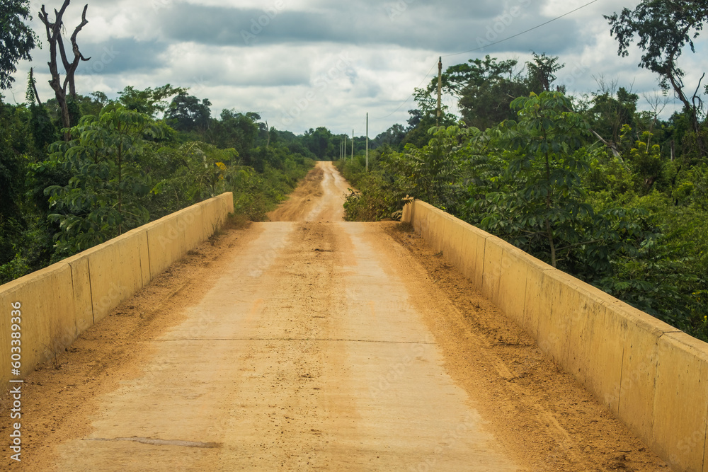 transpantanal road discovering Brazil pantanal in mato grosso region natural wet land forest 