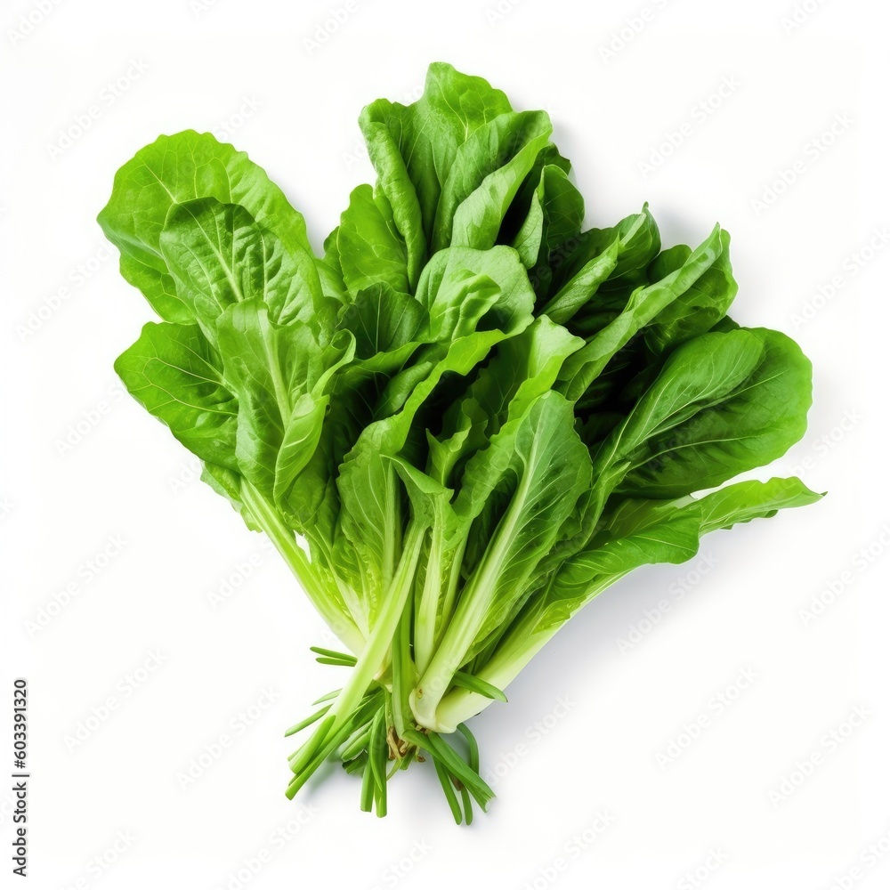 Chicory Greens isolated on white background (generative AI) Chicory Greens isolated on white background (generative AI)