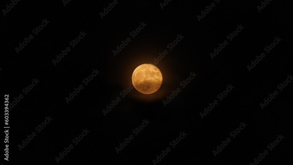 The moon night view with the round and white moon in the sky The moon night view with the round and white moon in the sky