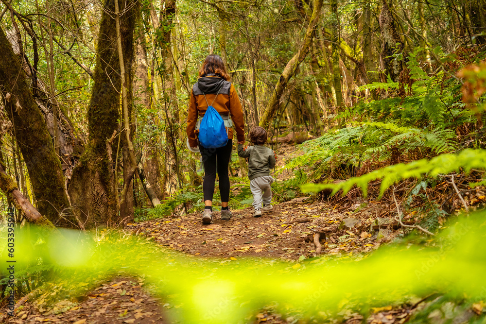 Mother and son hiking through Las Creces on the trail in the mossy tree forest of Garajonay National Park, La Gomera, Canary Islands