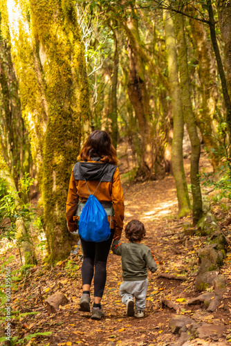 Mother and son walking through Las Creces trail in the mossy tree forest of Garajonay National Park, La Gomera, Canary Islands