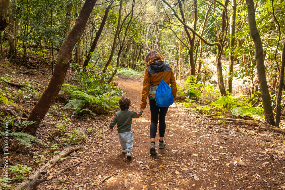 Mother and son walking on the path in the mossy tree forest of Garajonay National Park, La Gomera, Canary Islands. On the excursion to Las Creces Mother and son walking on the path in the mossy tree forest of Garajonay National Park, La Gomera, Canary Islands. On the excursion to Las Creces