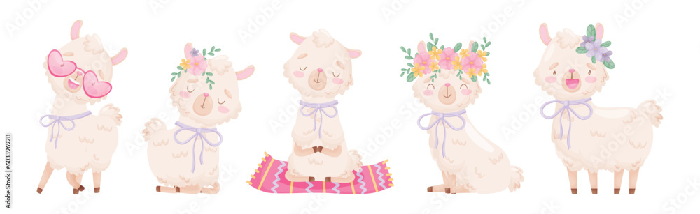 Cute Llama or Alpaca Fluffy Character with Pretty Snout Vector Set Cute Llama or Alpaca Fluffy Character with Pretty Snout Vector Set