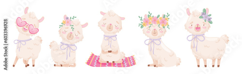 Cute Llama or Alpaca Fluffy Character with Pretty Snout Vector Set