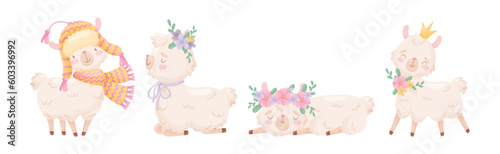 Cute Llama or Alpaca Fluffy Character with Pretty Snout Vector Set