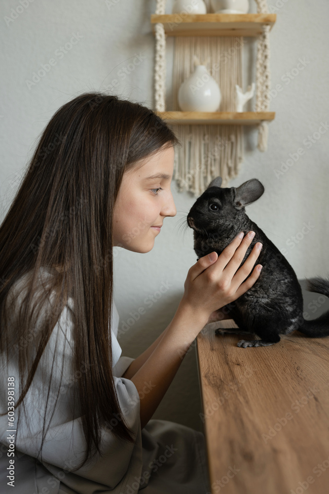 Teen girl with cute chinchilla pet at home Teen girl with cute chinchilla pet at home