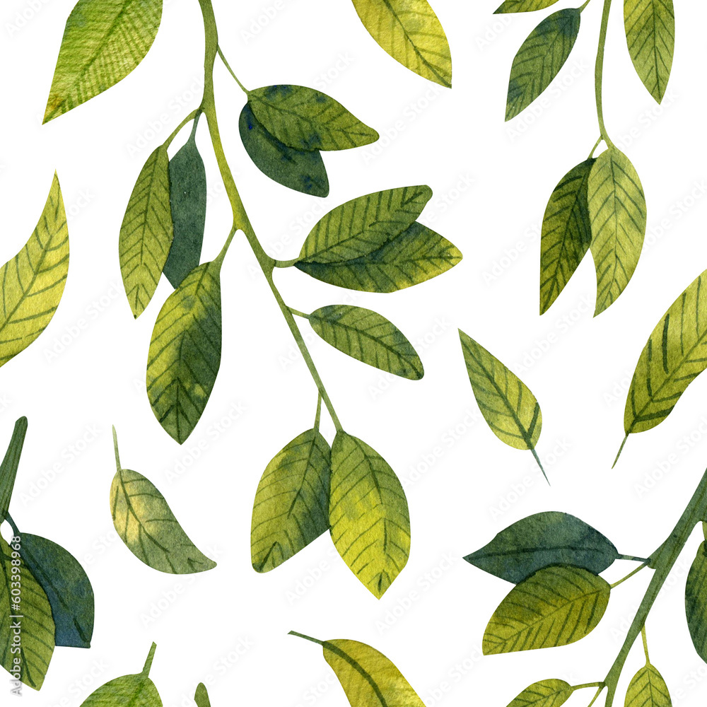 Watercolor seamless pattern with illustrations bransh and green leaves. Watercolor hand-drawn tree`s foliage on white background. Plants background, for your botanical design and decor Watercolor seamless pattern with illustrations bransh and green leaves. Watercolor hand-drawn tree`s foliage on white background. Plants background, for your botanical design and decor