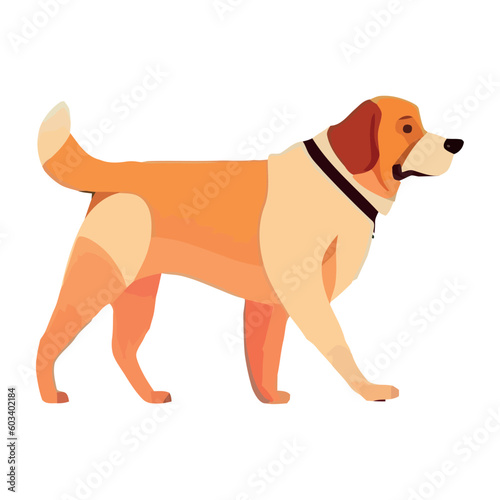 Cute purebred puppy walking  symbol of loyalty