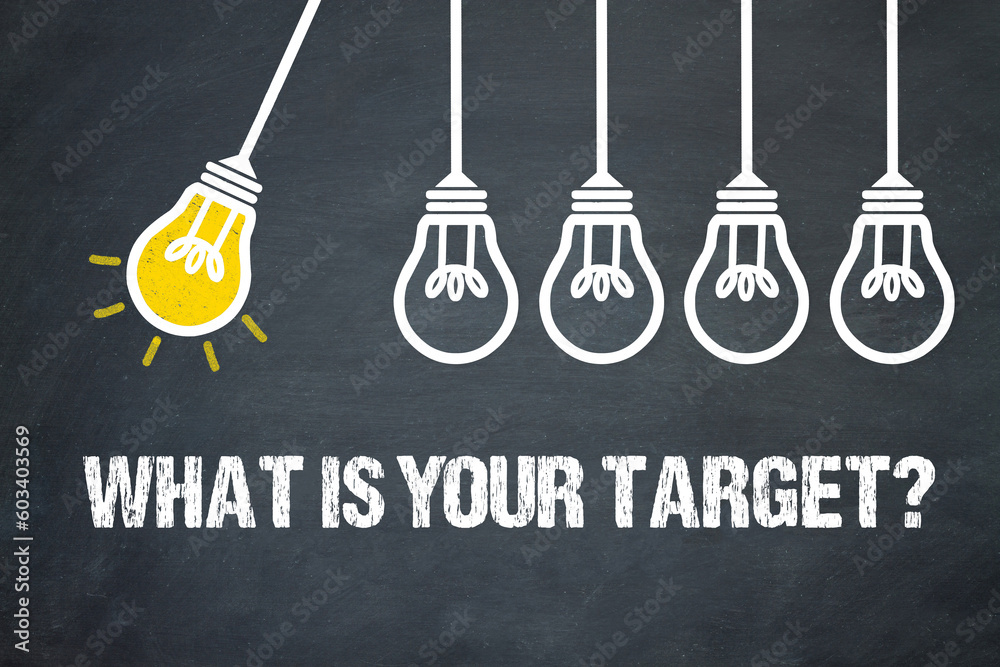 Fototapeta premium What is your target? 