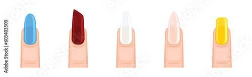 Colorful Female Finger with Nail Form and Shapes Vector Set