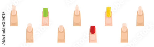 Colorful Female Finger with Nail Form and Shapes Vector Set
