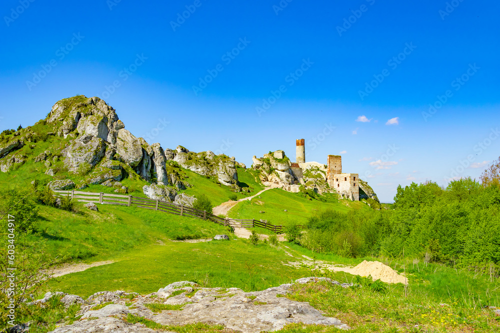 castle ruins on the mountain in Olsztyn