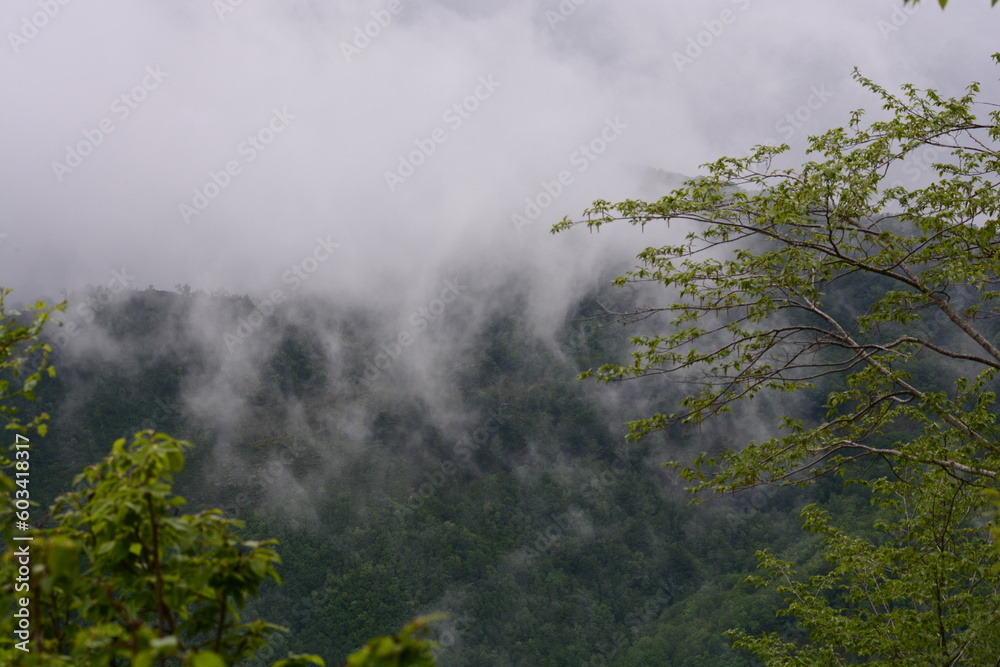 PAESAGGIO MONTANO CON NEBBIA,GIFFONI VALLE PIANA,SUD ITALIA,15 MAGGIO 2023. PAESAGGIO MONTANO CON NEBBIA,GIFFONI VALLE PIANA,SUD ITALIA,15 MAGGIO 2023.