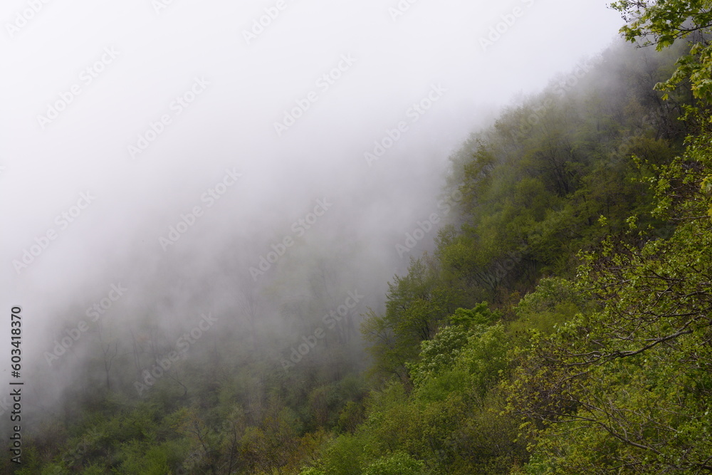 PAESAGGIO MONTANO CON NEBBIA,GIFFONI VALLE PIANA,SUD ITALIA,15 MAGGIO 2023. PAESAGGIO MONTANO CON NEBBIA,GIFFONI VALLE PIANA,SUD ITALIA,15 MAGGIO 2023.