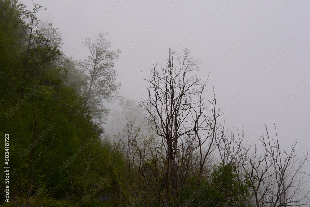 PAESAGGIO MONTANO CON NEBBIA,GIFFONI VALLE PIANA,SUD ITALIA,15 MAGGIO 2023. PAESAGGIO MONTANO CON NEBBIA,GIFFONI VALLE PIANA,SUD ITALIA,15 MAGGIO 2023.