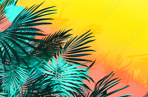 palm leaves on a brightly colored background