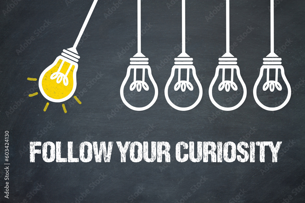 Fototapeta premium Follow your curiosity 
