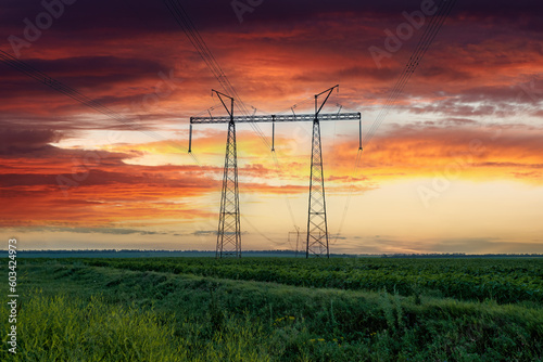 Overhead power line on a transmission tower in the field of young sunflower at colorful sunset in Ukraine. Scenic evening landscape of the Ukrainian steppe with a high-voltage Transmission tower