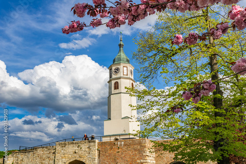 The clock tower (Sahat kula in serbien) at the Kalemegdan fortress in Belgrade, Serbia, springtime, cloudy sky background photo