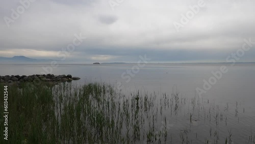 reed on the Lake Garda