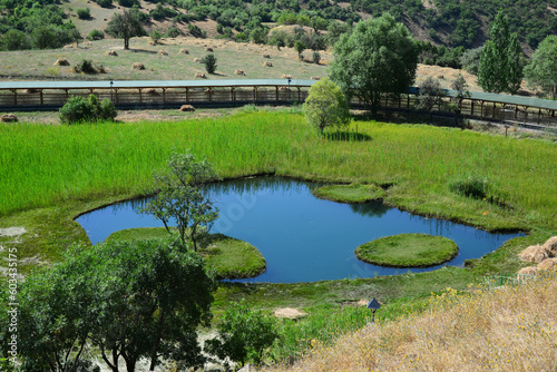 Located in Bingol  Turkey  the Floating Islands are small pieces of islands located on a small pond.